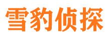 怒江捉小三公司